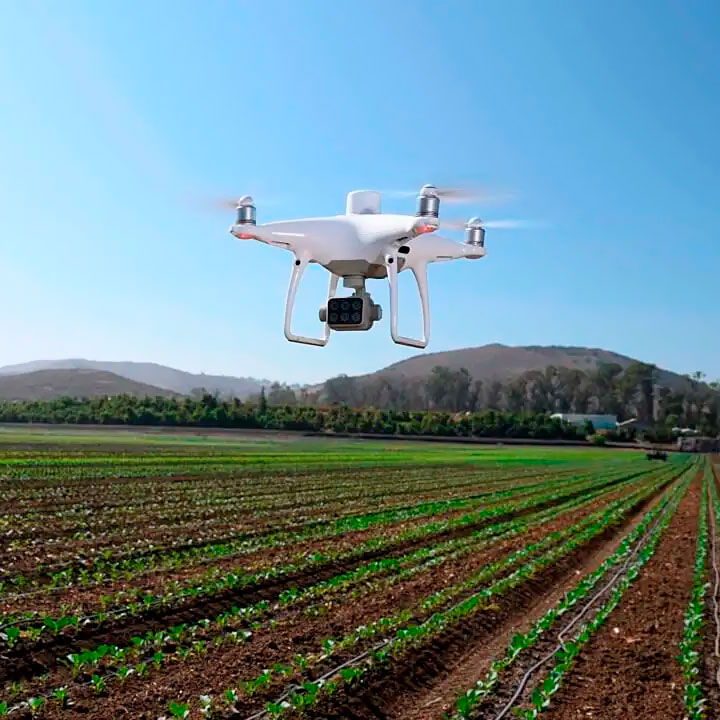 Drone dji phantom 4 multispectral super importadora
